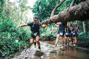 BIB: 
                            <button type="button" onclick="openModal(25371649)" class="btn btn-primary btn-sm float-right btn-popup" data-toggle="modal" data-target=".modal-high-quality">
                        <i class="fas fa-shopping-cart"></i> Add to Cart
                    </button>
                                            <button type="button" onclick="isThisMe(25371649, true)" class="btn btn-success btn-sm float-right btn-popup btn-isme hidden" data-toggle="tooltip" data-placement="bottom" title="นี่คือรูปของคุณใช่ไหม คลิกที่นี่เพื่อเอาเข้าอัลบั้ม">
                        <i class="fas fa-plus"></i> Add to album
                    </button>
                    <button type="button" onclick="isThisMe(25371649, false)" class="btn btn-warning btn-sm float-right btn-popup btn-isnotme hidden">
                        <i class="fas fa-ban"></i> Remove from album
                    </button>